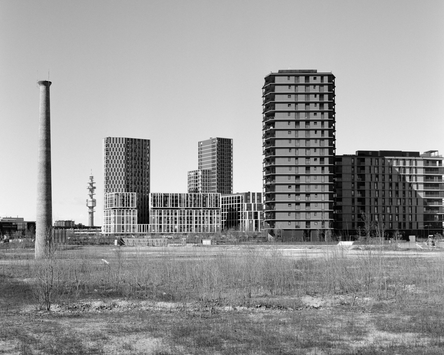 mostre_nov_11
